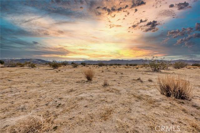 Joshua Tree, CA 92252,123 Walpi Drive