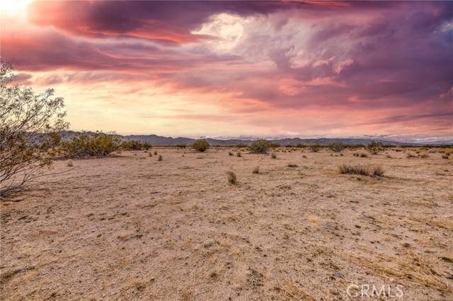 Joshua Tree, CA 92252,123 Walpi Drive