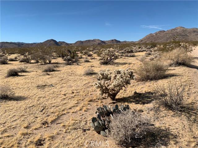 Joshua Tree, CA 92252,62259 Dixie Lane