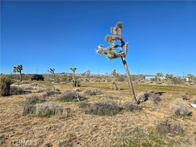 Yucca Valley, CA 92284,3245 Warren Vista Avenue