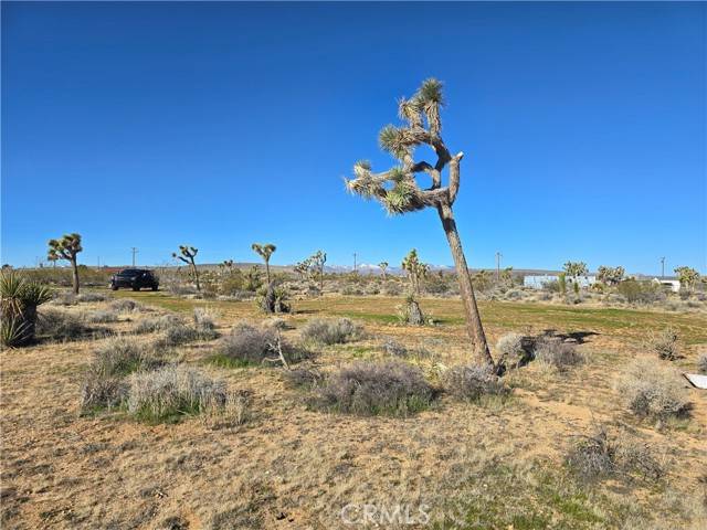 Yucca Valley, CA 92284,3245 Warren Vista Avenue