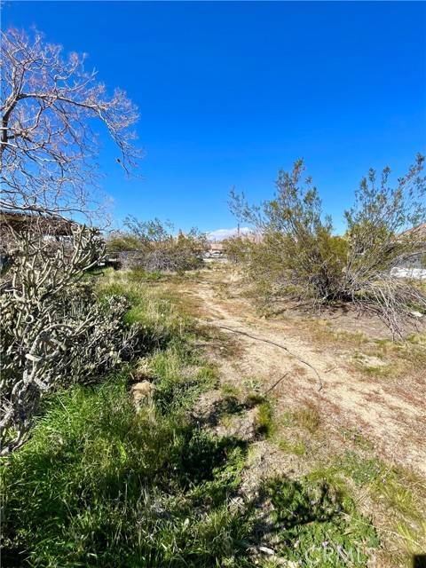 Yucca Valley, CA 92284,2 Indio Avenue