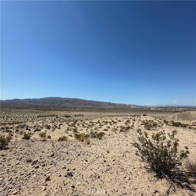 Twentynine Palms, CA 92277,1234 Buena Vista Drive