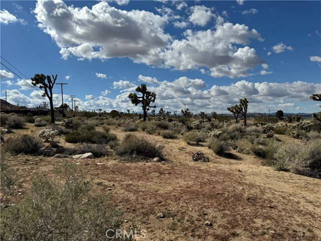 Joshua Tree, CA 92252,7654 Vista Road