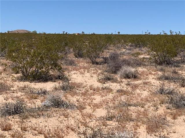 Joshua Tree, CA 92252,0 Sunny Sands Drive