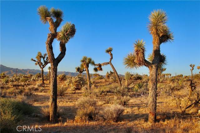 Yucca Valley, CA 92284,5374 Marvin Drive