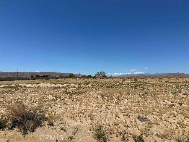 Joshua Tree, CA 92252,5250 Cascade Road