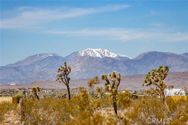 Joshua Tree, CA 92252,4444 Saddleback Drive