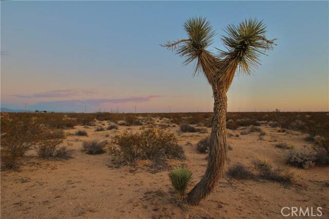 Joshua Tree, CA 92252,0 Milky Way Avenue