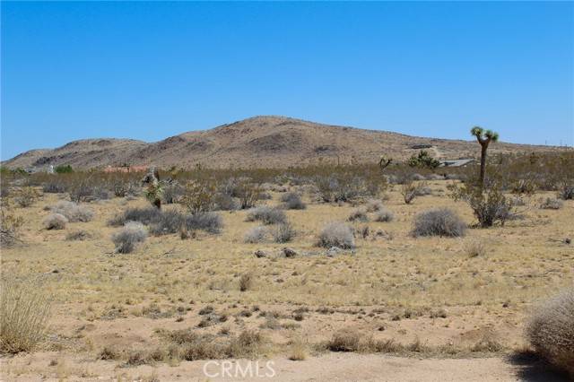 Joshua Tree, CA 92252,0 Duvall Drive