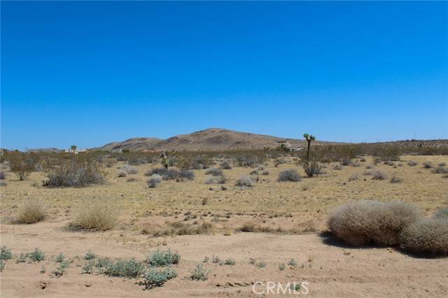 Joshua Tree, CA 92252,0 Duvall Drive