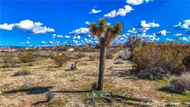 Yucca Valley, CA 92284,58001 Belmont Street