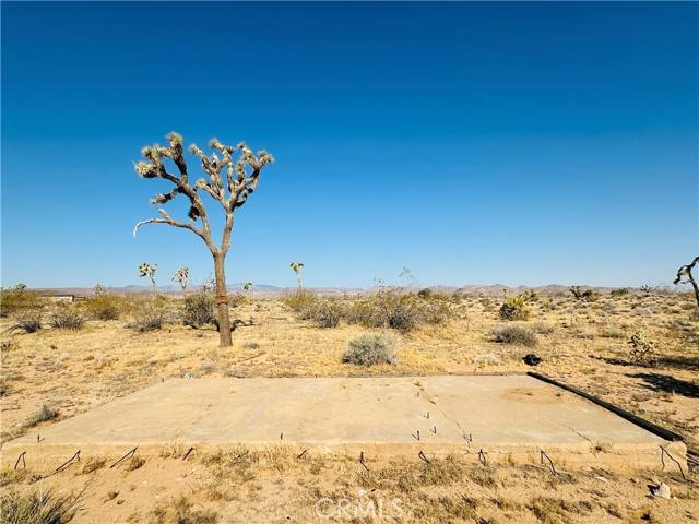 Yucca Valley, CA 92284,1070 Hilton Avenue