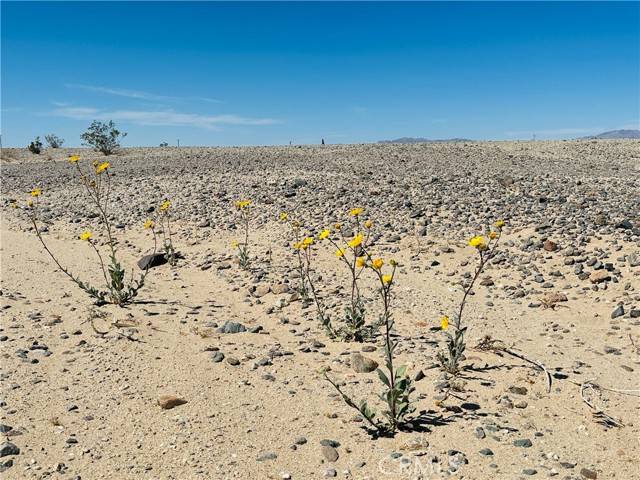 Twentynine Palms, CA 92277,0 Stormy Road