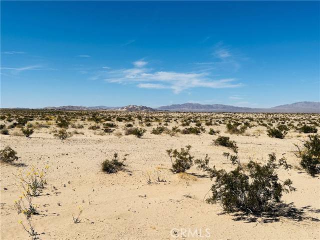 Twentynine Palms, CA 92277,0 Near Shelton Road