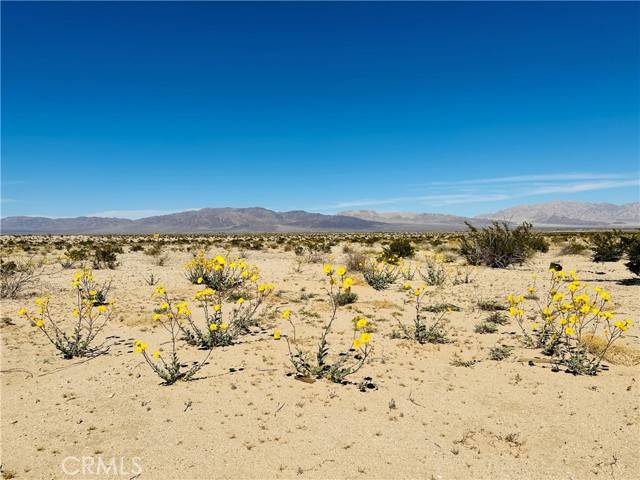 Twentynine Palms, CA 92277,0 Near Shelton Road