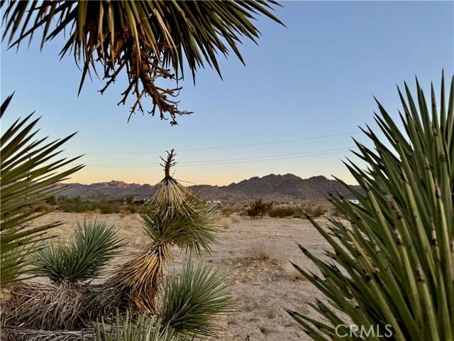 Joshua Tree, CA 92252,5858 Neptune Road