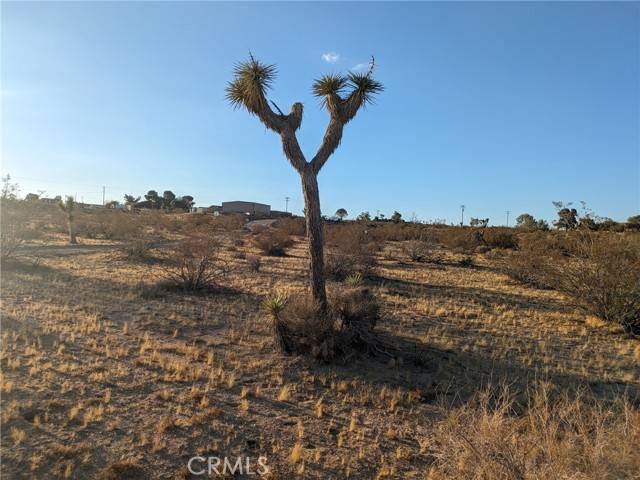 Yucca Valley, CA 92284,561 Delgada Avenue