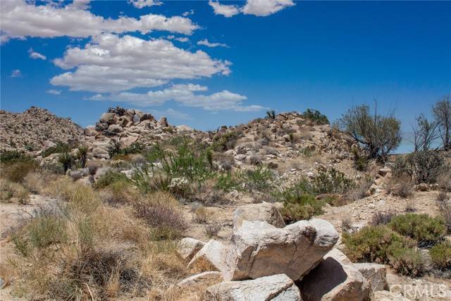 Joshua Tree, CA 92252,60300 Mountain Trail