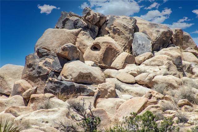 Joshua Tree, CA 92252,60300 Mountain Trail