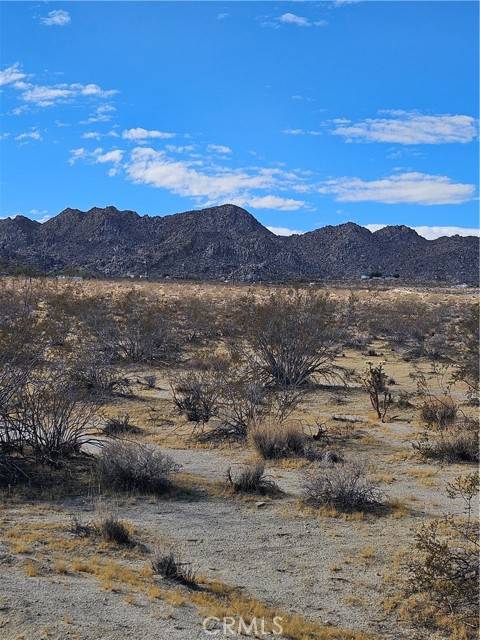 Joshua Tree, CA 92252,0 California Avenue