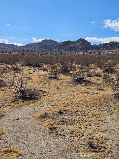 Joshua Tree, CA 92252,0 Twentynine Palms Highway