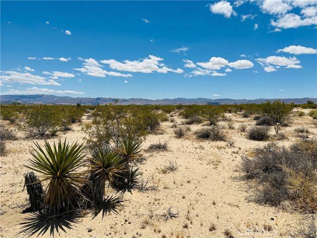 Joshua Tree, CA 92252,2 Milky Way Avenue