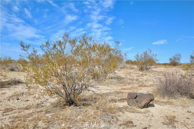 Joshua Tree, CA 92252,0 Moonlight Mesa Avenue