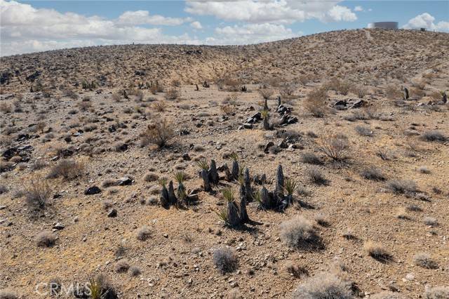 Yucca Valley, CA 92285,1000 Millie Lane