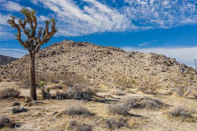 Joshua Tree, CA 92252,5 Sunset Road