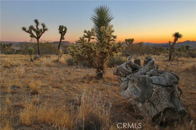 Joshua Tree, CA 92284,7635 La Contenta Road