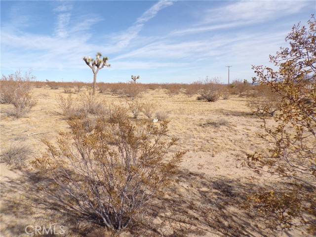 Joshua Tree, CA 92252,0 Foxy Flats Road