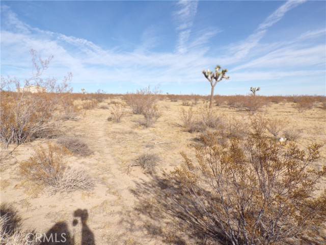 Joshua Tree, CA 92252,0 Foxy Flats Road