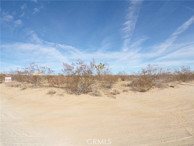 Joshua Tree, CA 92252,0 Foxy Flats Road