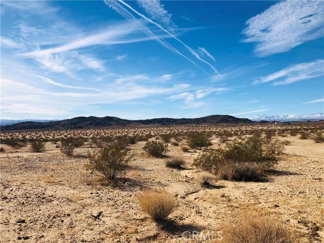 Joshua Tree, CA 92252,46 Desert Lily Street