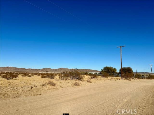 Joshua Tree, CA 92252,0 Sunflower Road