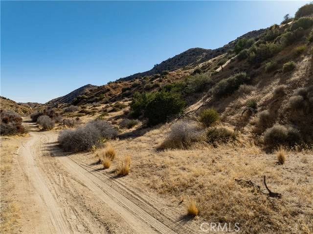 Pioneertown, CA 92284,5940 Water Canyon