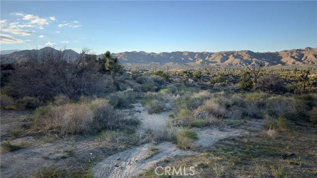 Yucca Valley, CA 92284,55370 Bunny Road