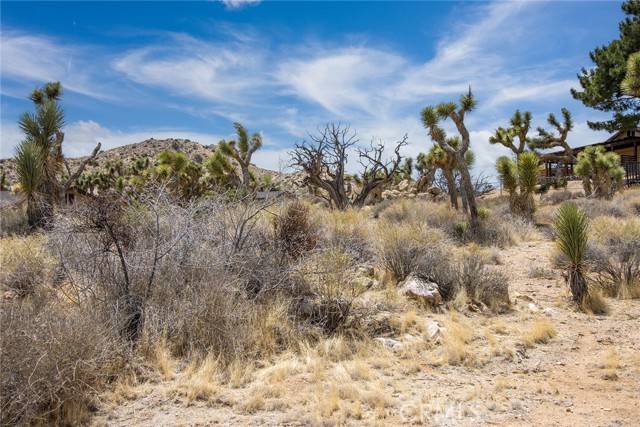 Yucca Valley, CA 92284,8385 Elk Court