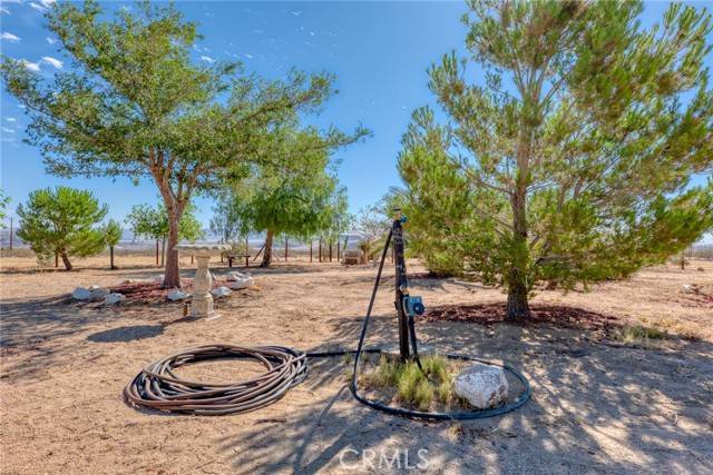 Landers, CA 92285,0 Kicks