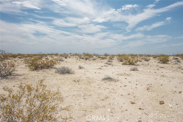 Joshua Tree, CA 92252,2549 Delaware Avenue