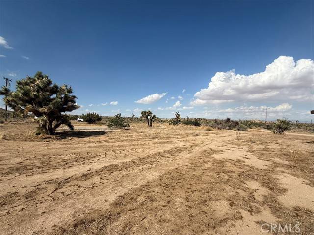 Yucca Valley, CA 92284,57215 Buena Vista Drive