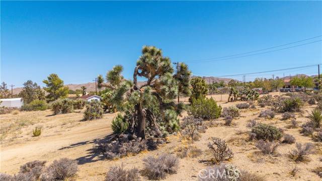 Yucca Valley, CA 92284,58323 Lisbon Drive