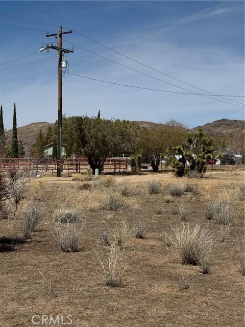 Pioneertown, CA 92268,0 Minna Gombell