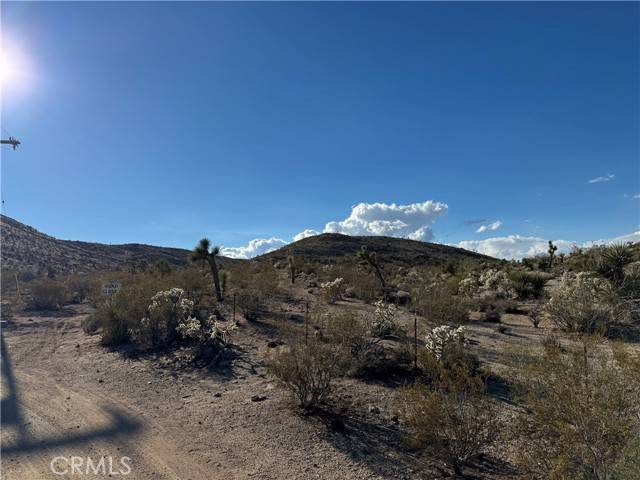 Yucca Valley, CA 92284,0 ocotillo