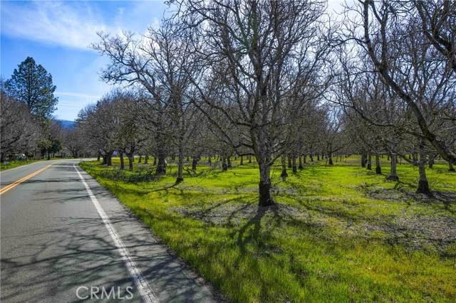 Upper Lake/ Upper Lake Valley, CA 95485,10010 Elk Mountain Road