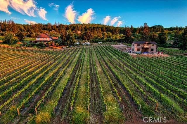 Kelseyville, CA 95451,8664 Seigler Springs