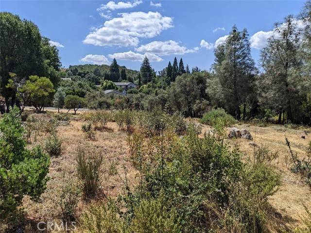 Kelseyville, CA 95451,9709 Tenaya Way