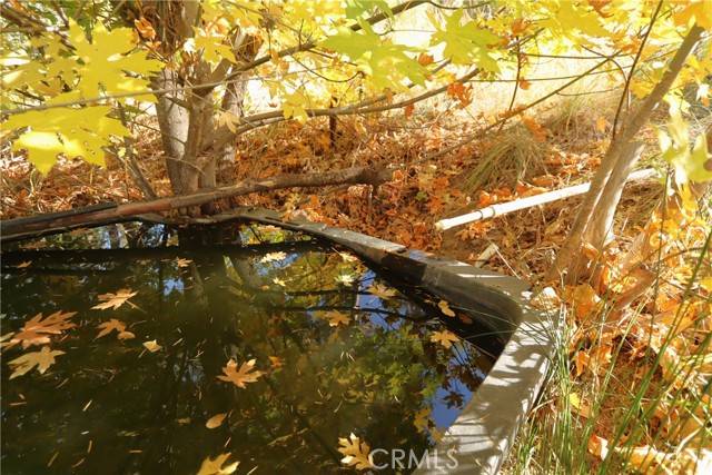 Upper Lake/ Upper Lake Valley, CA 95485,15667 17 N 11 Road