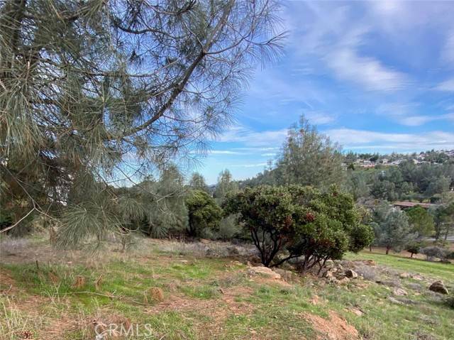 Kelseyville, CA 95451,9658 Fairway Drive